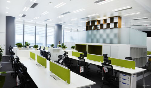 看準網 網絡科技開發的領航者與變革者